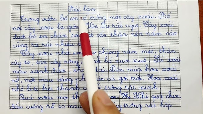 Cây Bàng Vàng Yêu Dấu Của Tôi