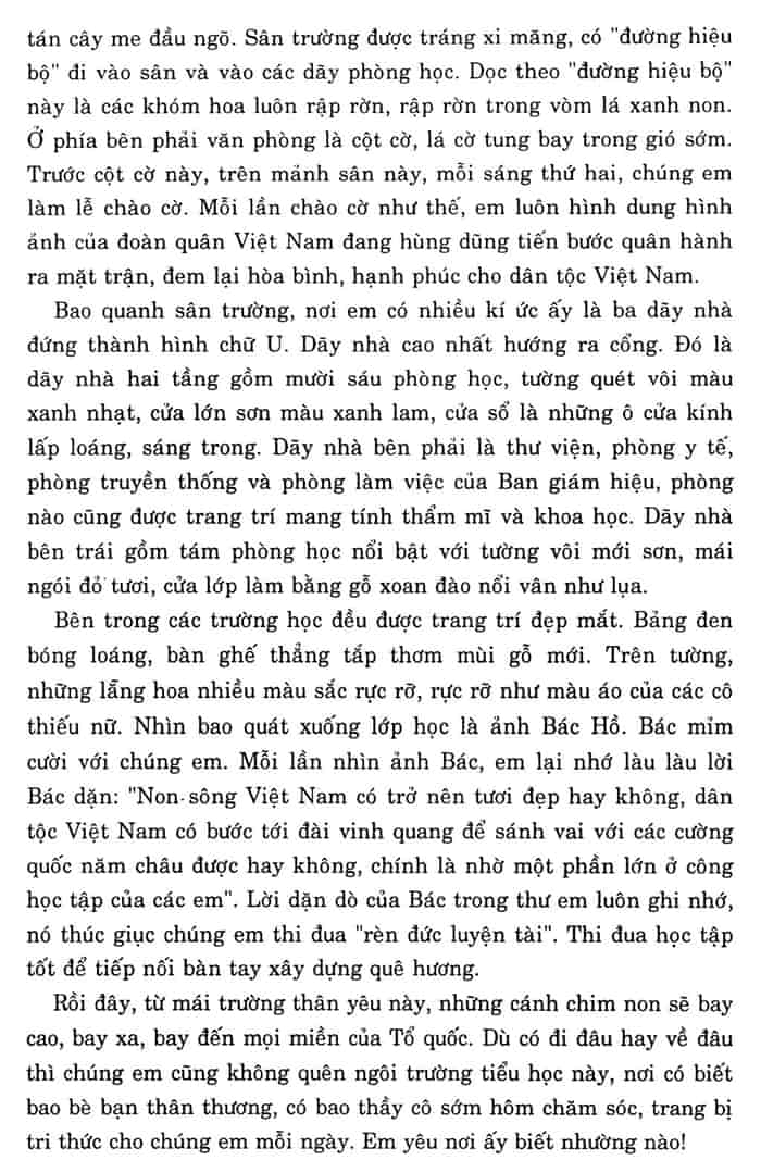 Tả ngôi trường thân yêu của em lớp 5 Gallery 1