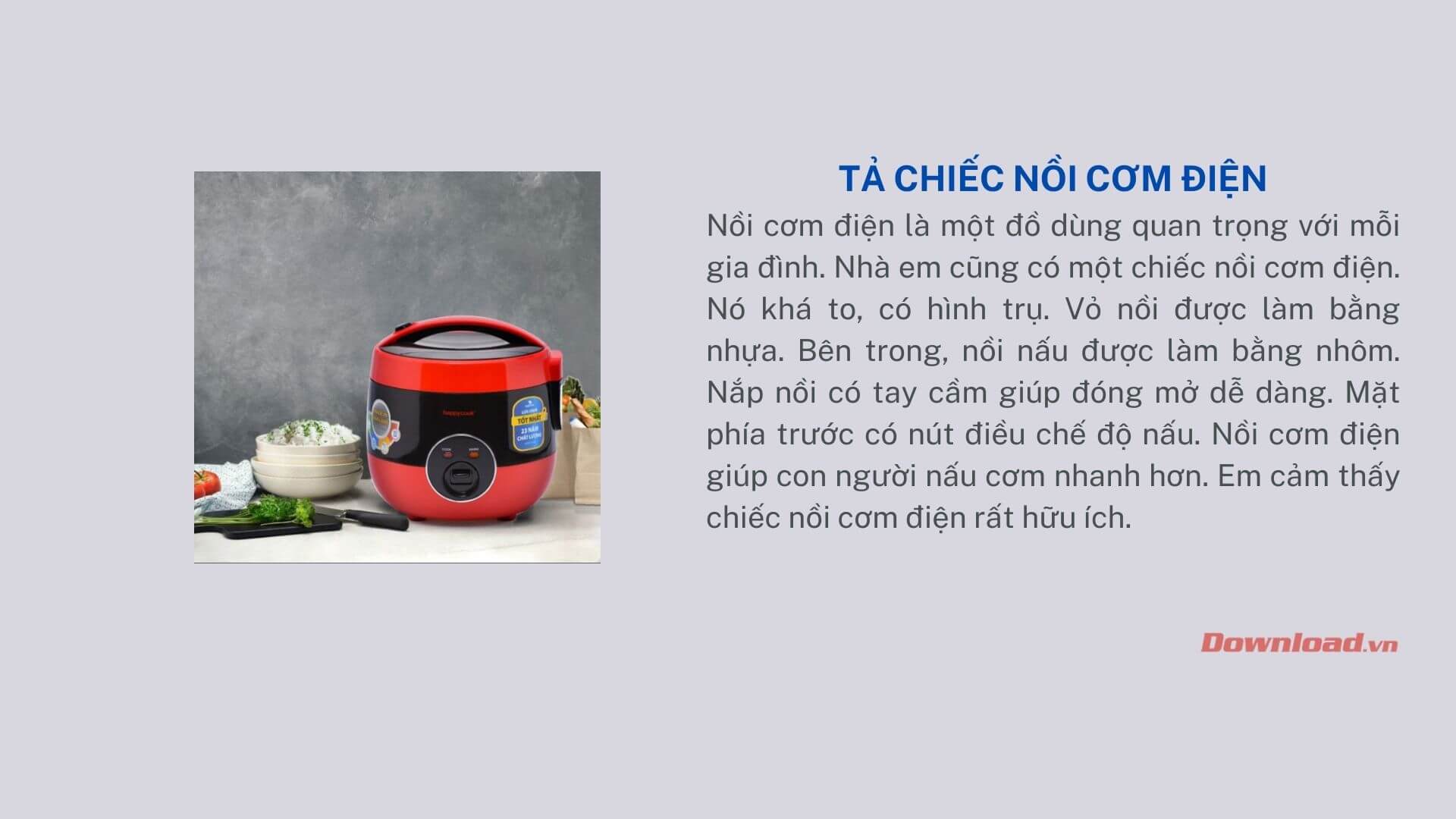 Tả nồi cơm điện lớp 2