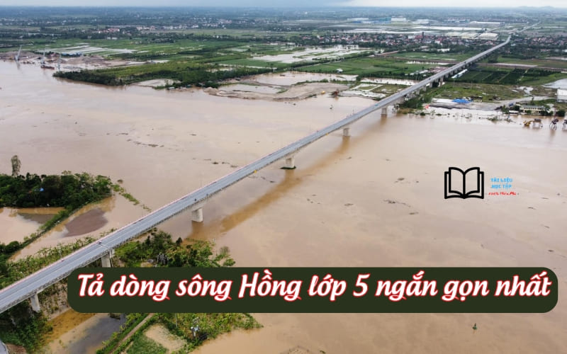 Tả Sông Hồng Lớp 5 Gallery 1