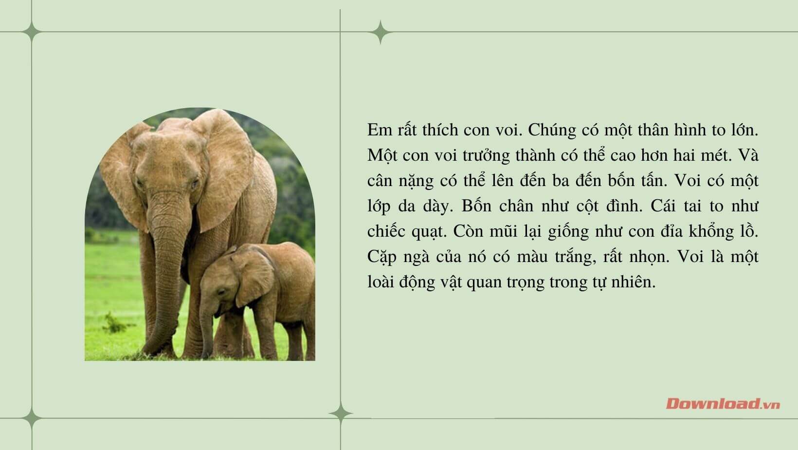 Tả về con voi