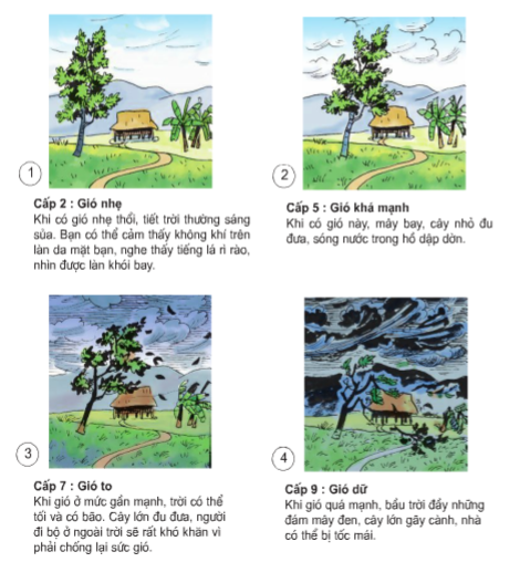 Gió Thổi Mây Bay Gallery 2
