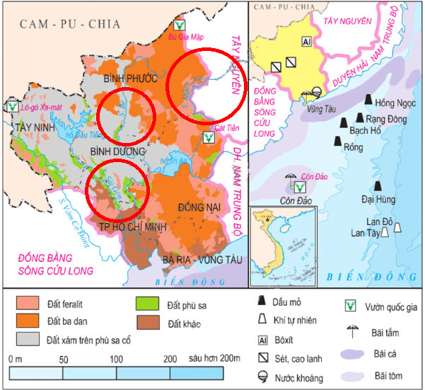 Vì sao phải bảo vệ và phát triển rừng đầu nguồn để hạn chế ô nhiễm nước các dòng sông ở Đông Nam Bộ? Gallery 1
