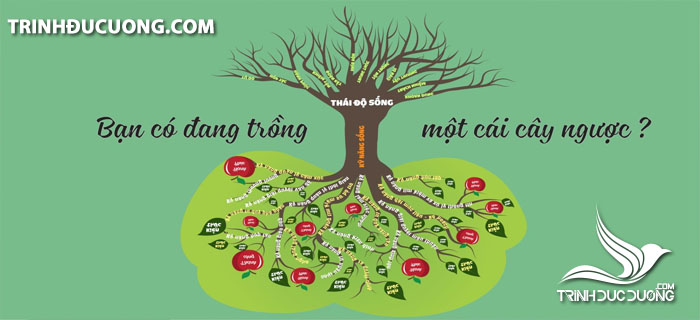 Thái Độ Là Gì? Gallery 2