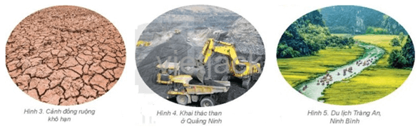 Thiên nhiên và cuộc sống: Mối quan hệ mật thiết và sự phụ thuộc lẫn nhau Gallery 1