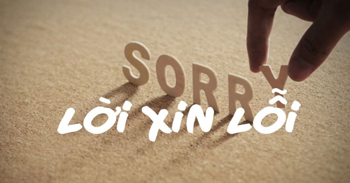Vai trò của lời xin lỗi Gallery 1