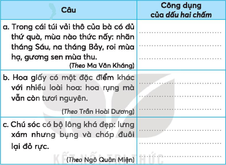 Dấu Hai Chấm Có Mấy Tác Dụng? Gallery 1