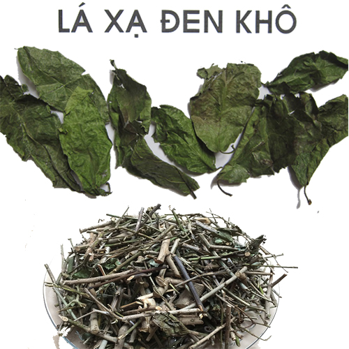 Lá Xạ Đen Khô Có Tác Dụng Gì? Gallery 1