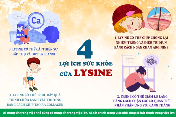 Công dụng của Lysine Gallery 1