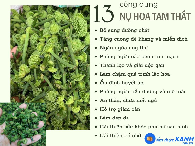 Nụ Tam Thất Có Tác Dụng Gì? Gallery 1