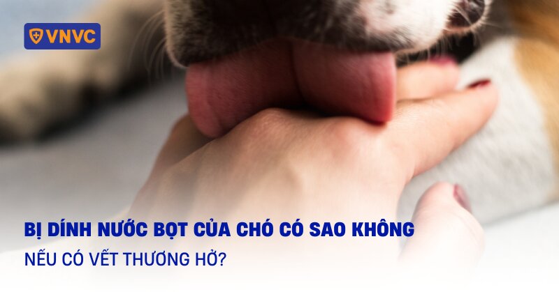 Nước bọt của chó có tác dụng gì? Gallery 1