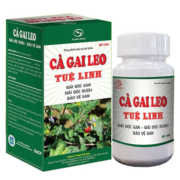Thuốc Giải Độc Gan Cà Gai Leo Gallery 1