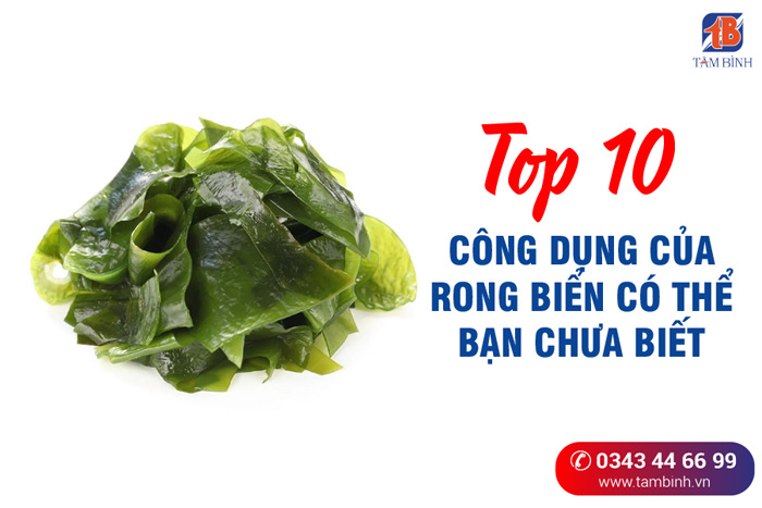 Tác dụng của canh rong biển Gallery 1