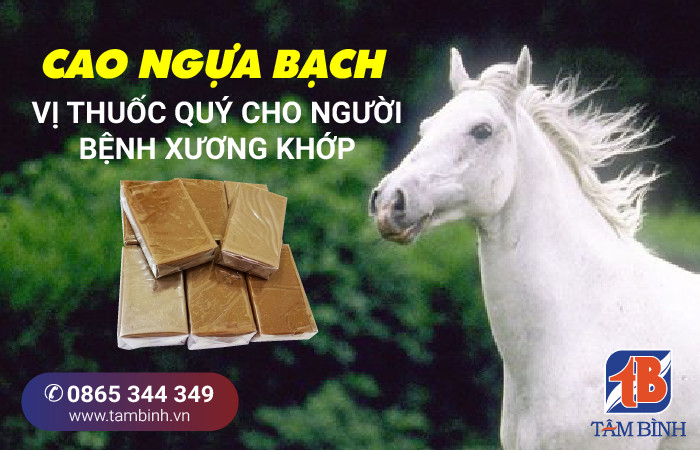 Tác dụng của Cao Ngựa Bạch Gallery 2