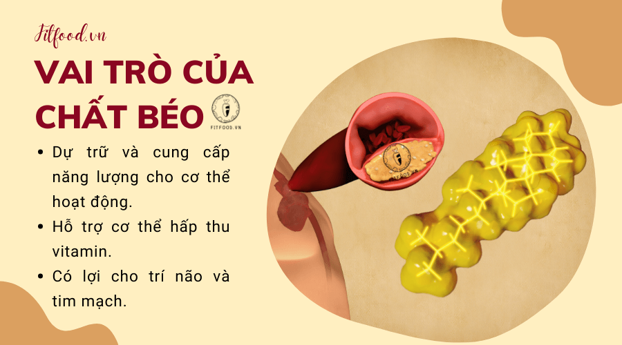 Chất béo là gì? Gallery 2