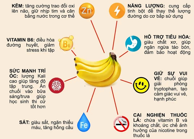 Tác dụng của chuối xiêm Gallery 1