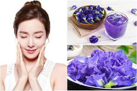 Tác dụng của đậu biếc