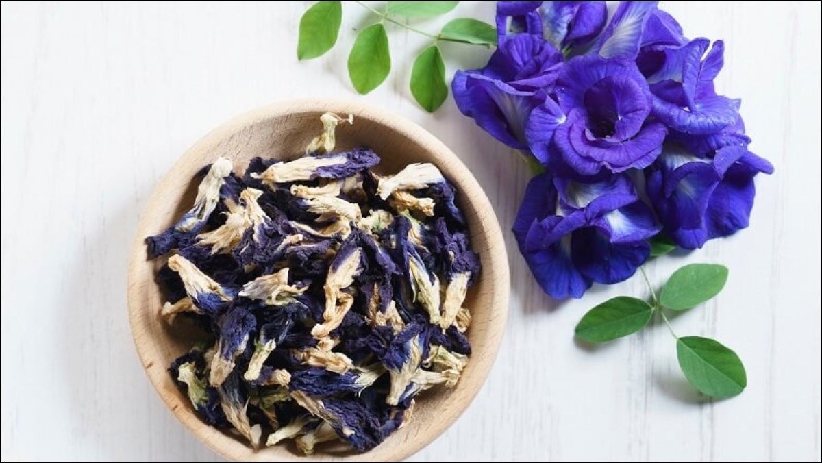 Tác dụng của đậu biếc Gallery 1