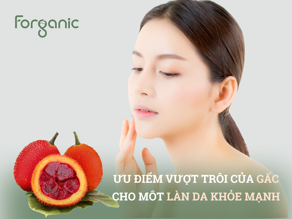 Tác dụng của hạt gấc trong làm đẹp Gallery 1