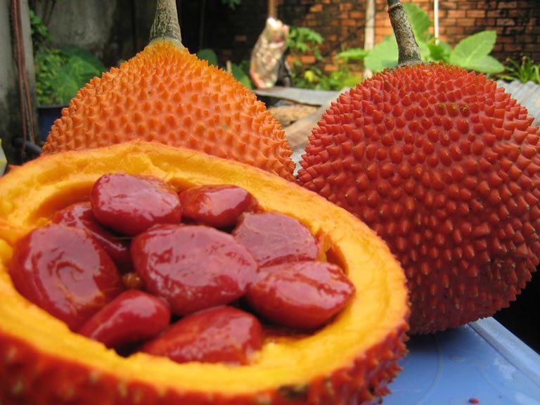 Tác dụng của hạt gấc trong làm đẹp