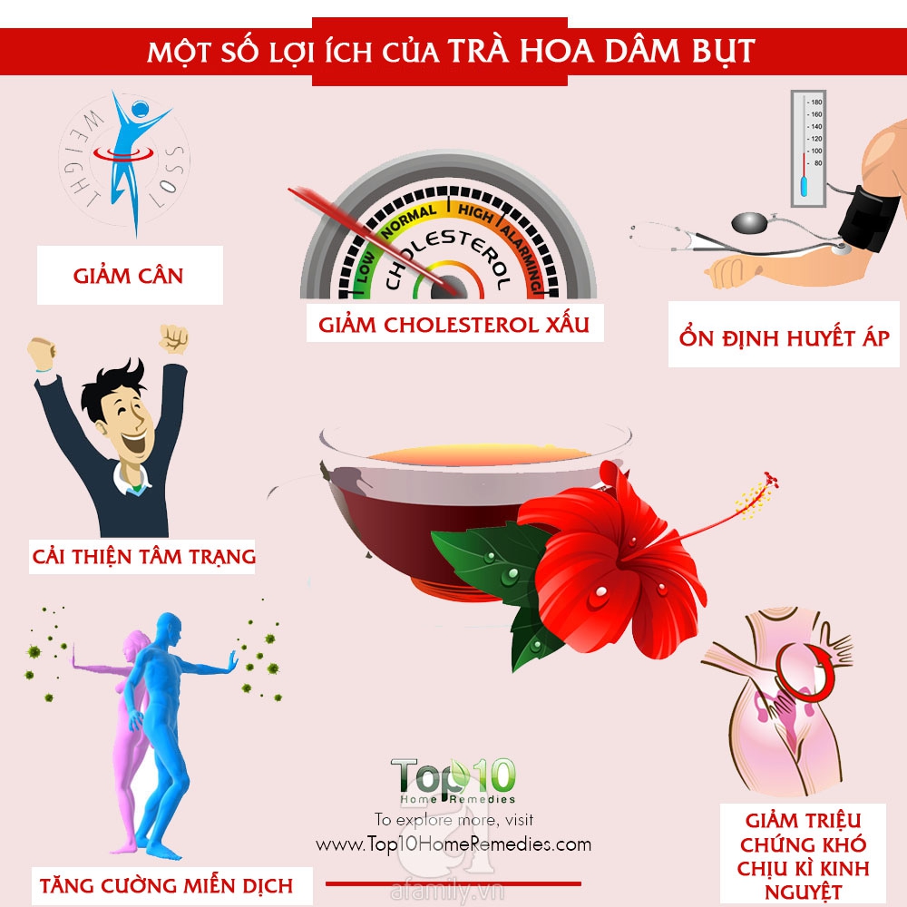Tác dụng của hoa dâm bụt