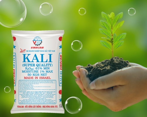 Tác dụng của Kali trắng Gallery 1