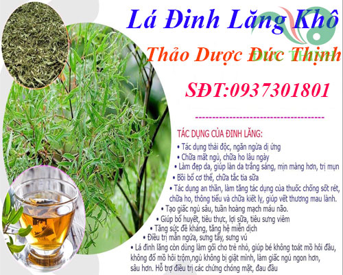 Ăn Lá Đinh Lăng Có Tác Dụng Gì? Gallery 1