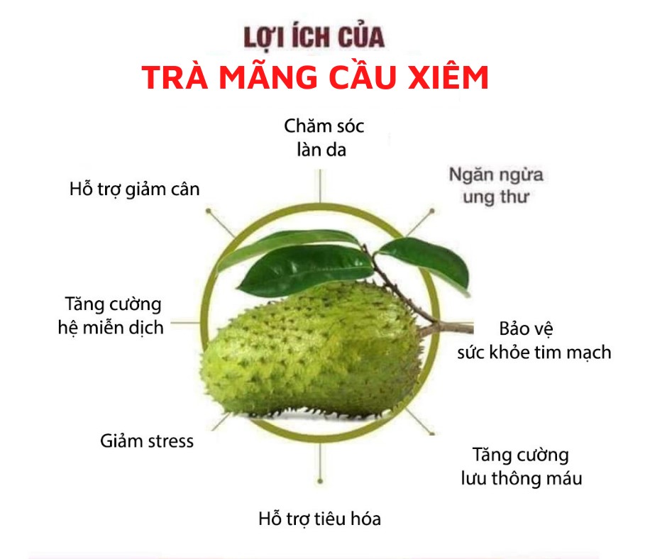 Quả Mãng Cầu Có Tác Dụng Gì? Gallery 1