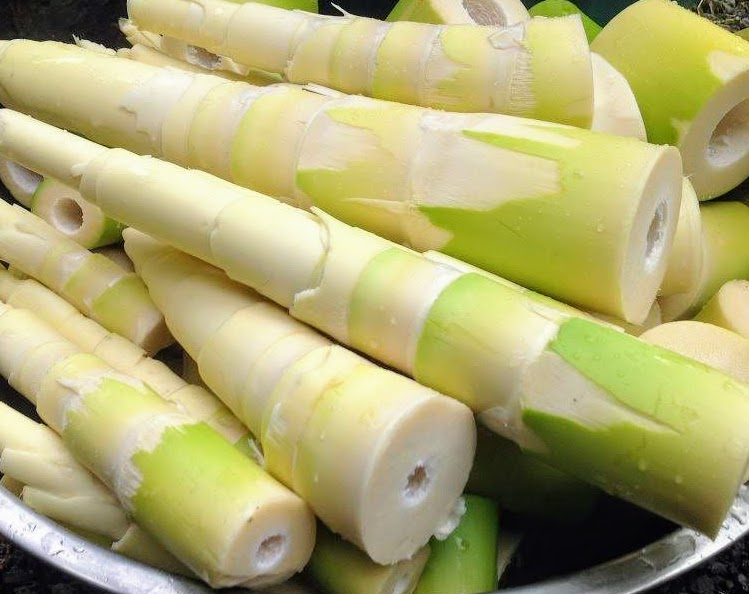 Tác dụng của măng tre đối với sức khỏe