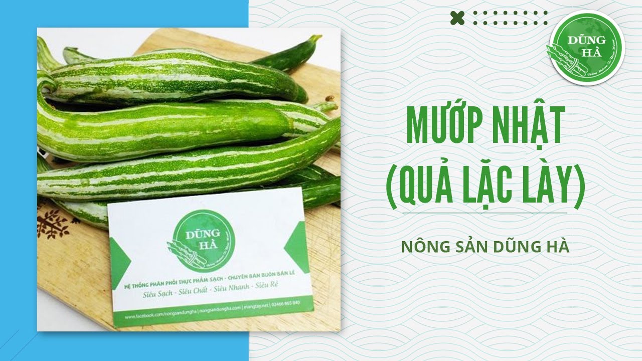 Mướp Nhật Có Tác Dụng Gì? Gallery 1