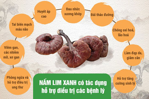 Nam Lim Xanh Có Tác Dụng Gì? Gallery 1