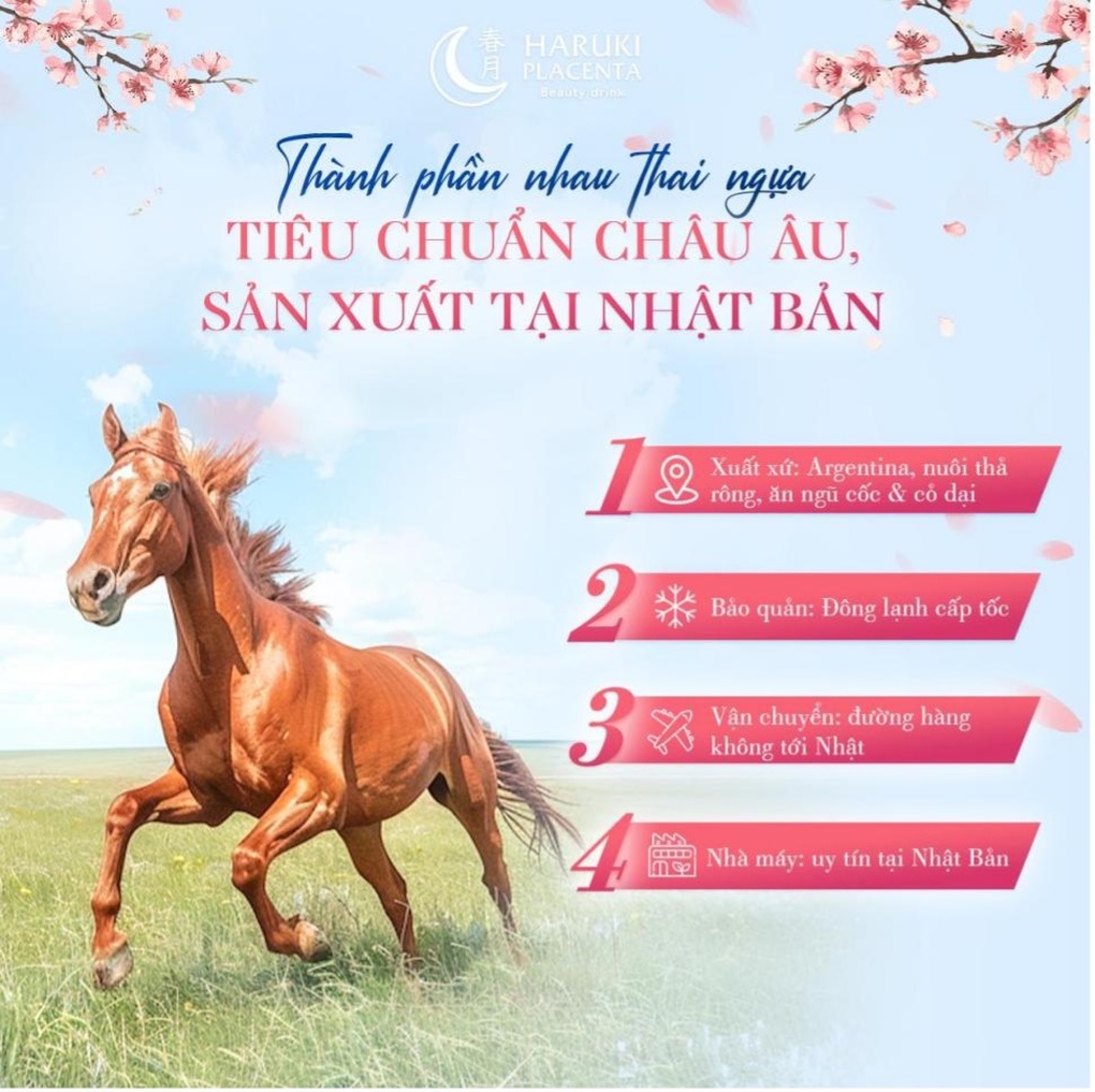 Nhau thai ngựa có tác dụng gì? Gallery 2