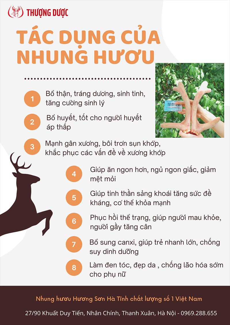 Tác dụng của nhung hươu