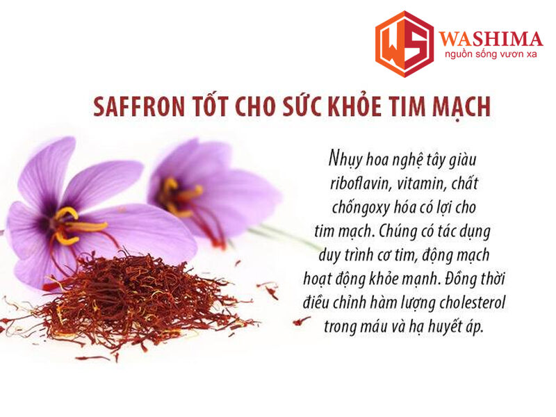 Nhụy Nghệ Tây Có Tác Dụng Gì? Gallery 1