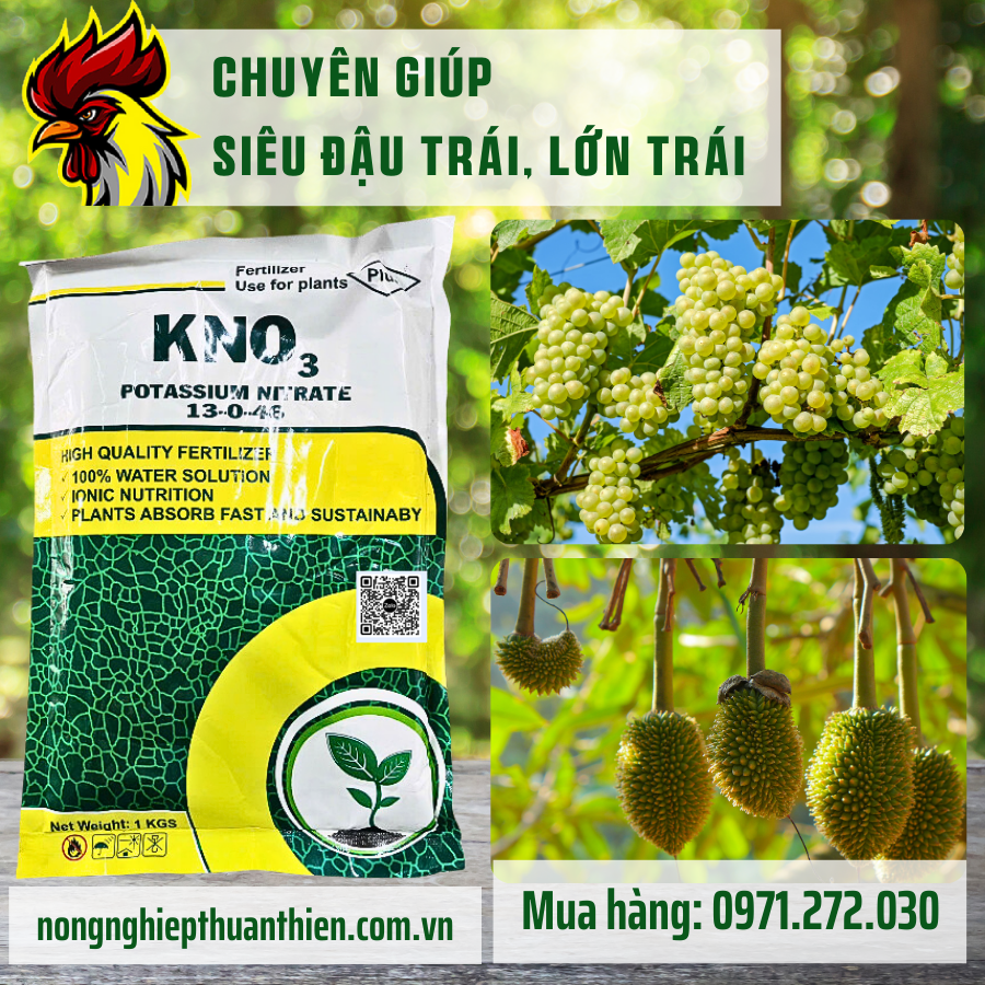 Tác dụng của KNO3 đối với cây trồng Gallery 1