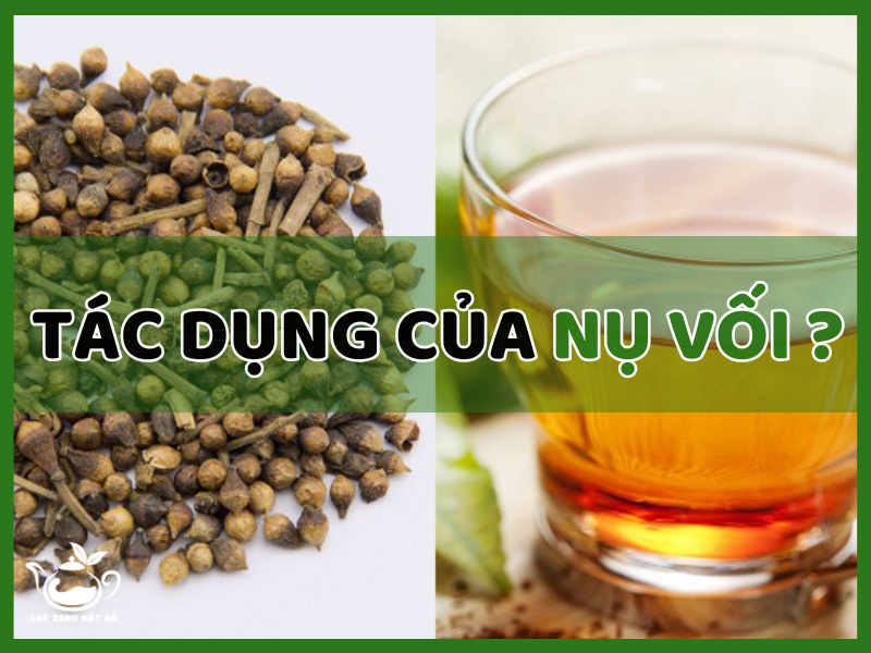 Công dụng tuyệt vời của nụ vối đối với sức khỏe Gallery 1