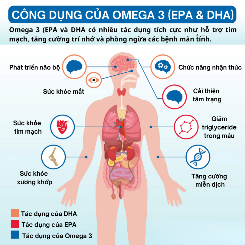 Tác dụng của Omega 3