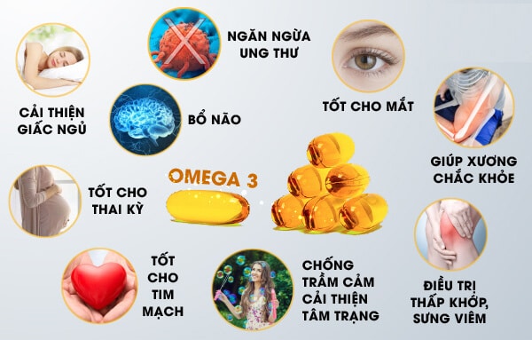 Tác dụng của Omega 3 Gallery 1