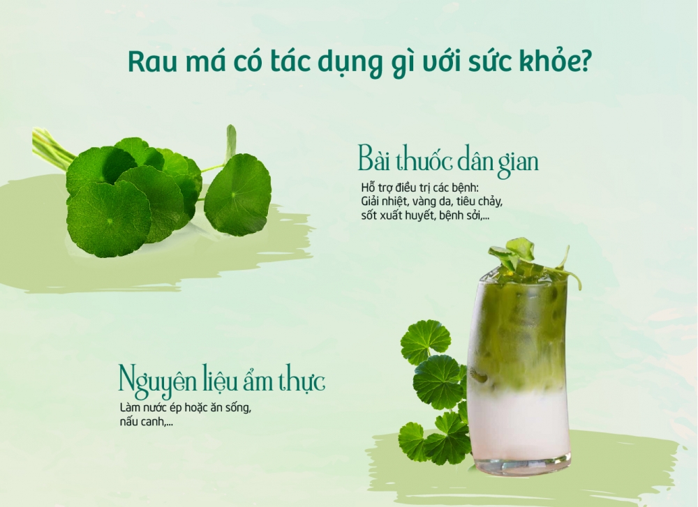 Rau má có tác dụng gì? Gallery 1