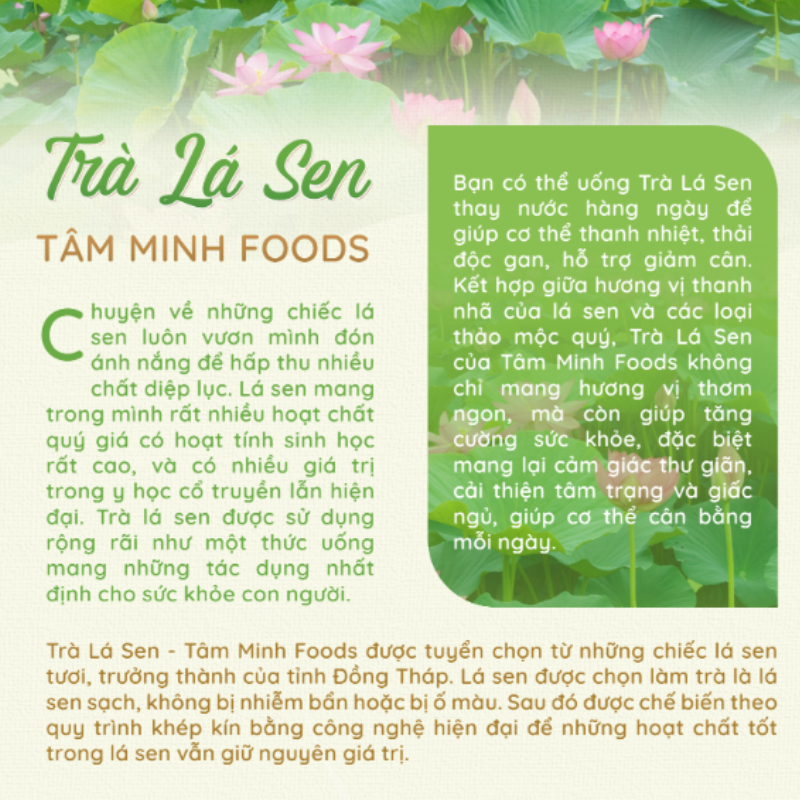 Trà Lá Sen Có Tác Dụng Gì? Gallery 1
