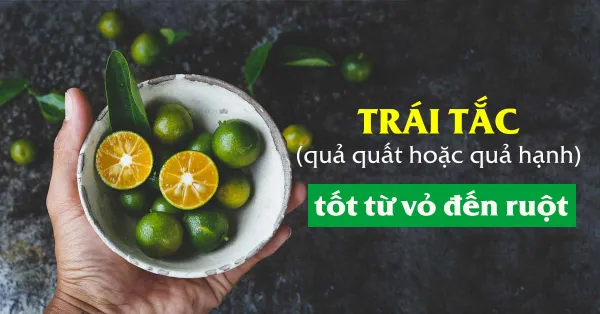Trái Tắc Có Tác Dụng Gì? Gallery 1