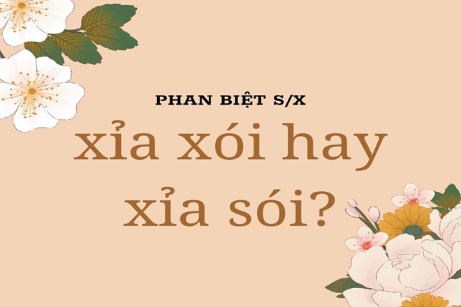 Xỉa Xói Là Gì? Hướng Dẫn Chi Tiết Về Cách Sử Dụng Và Những Điều Cần Lưu Ý Gallery 1
