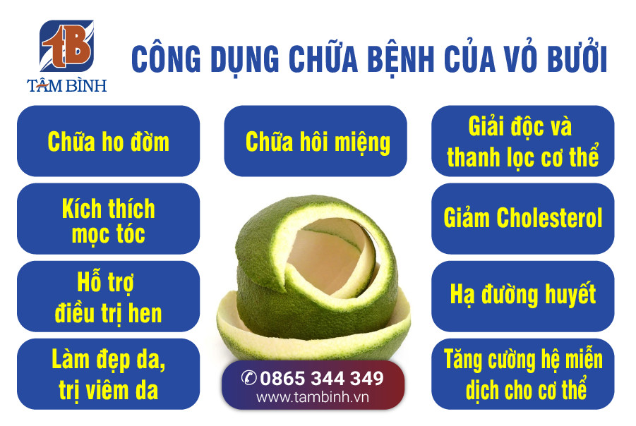 Vỏ bưởi trị bệnh gì? Gallery 1