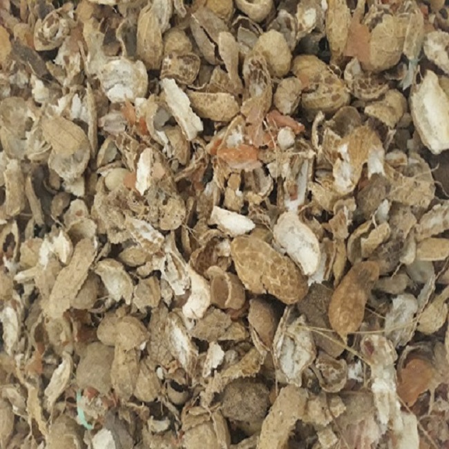 Tác dụng của vỏ lạc đối với cây trồng