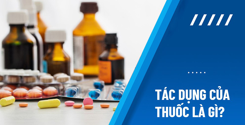 Tác dụng là gì? Gallery 2