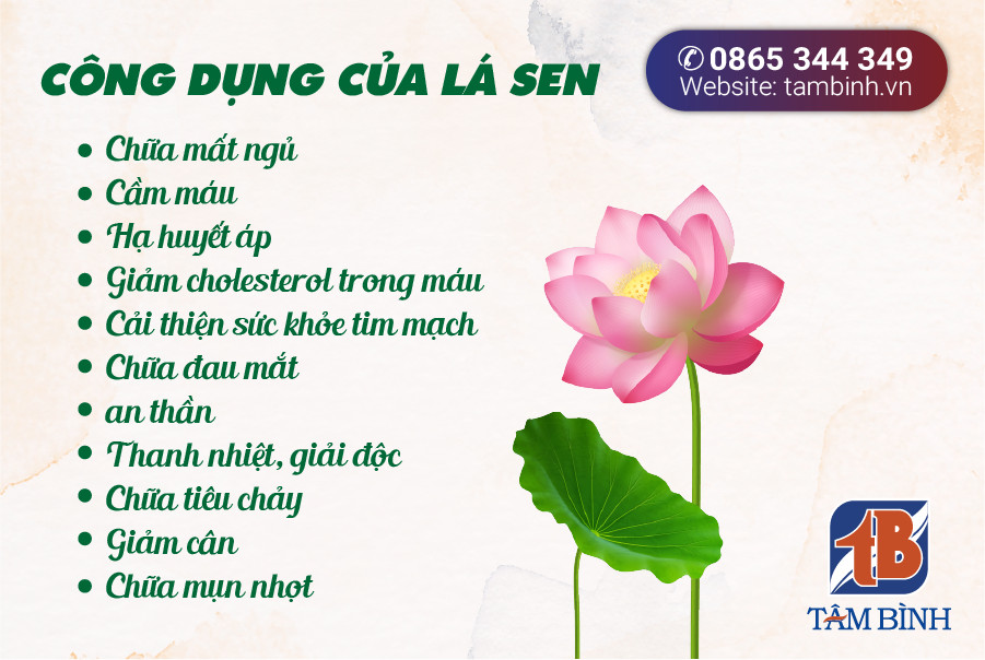 Tác dụng tuyệt vời của lá sen đối với sức khỏe