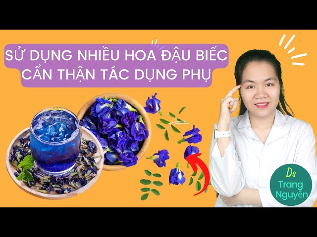 Tác dụng phụ của hoa đậu biếc