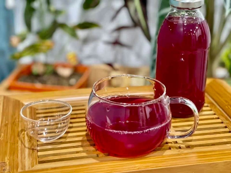 Uống nước lá tía tô có tốt không? Gallery 2