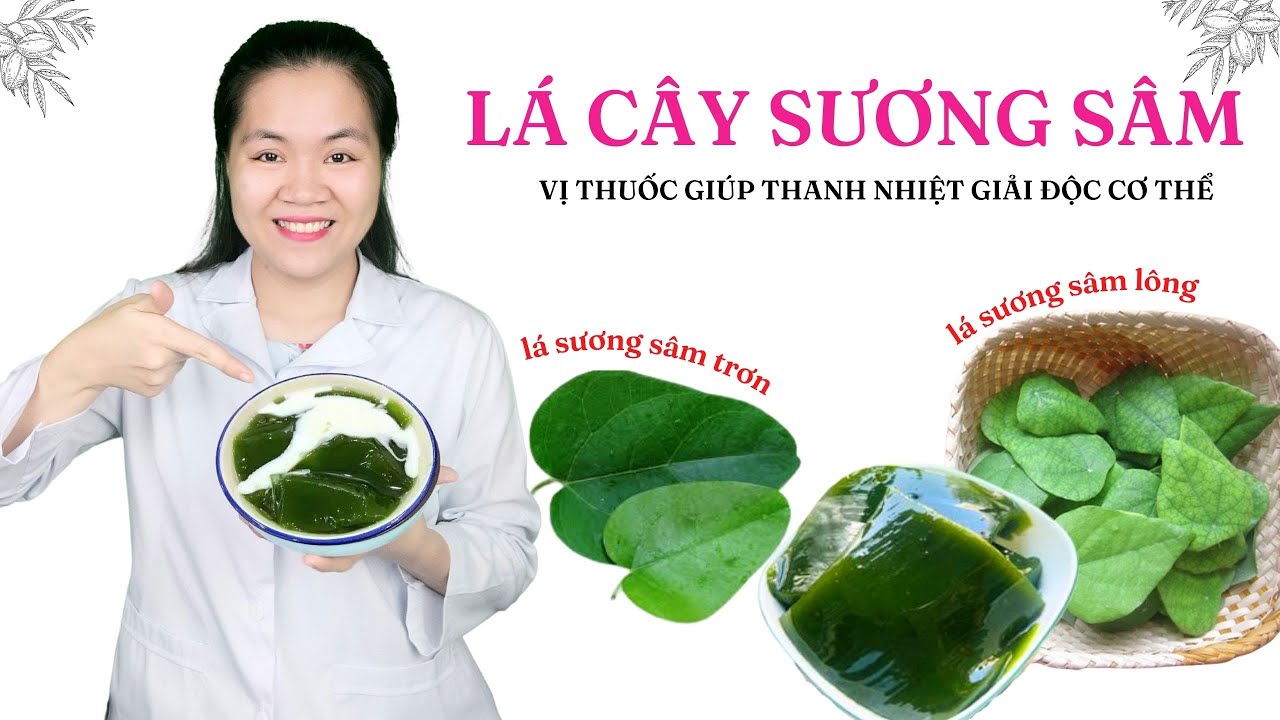 Tác dụng của sương sâm Gallery 1