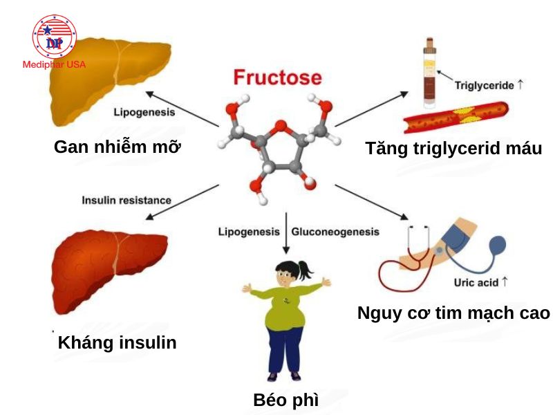 Đường Fructose Có Tốt Không? Gallery 2